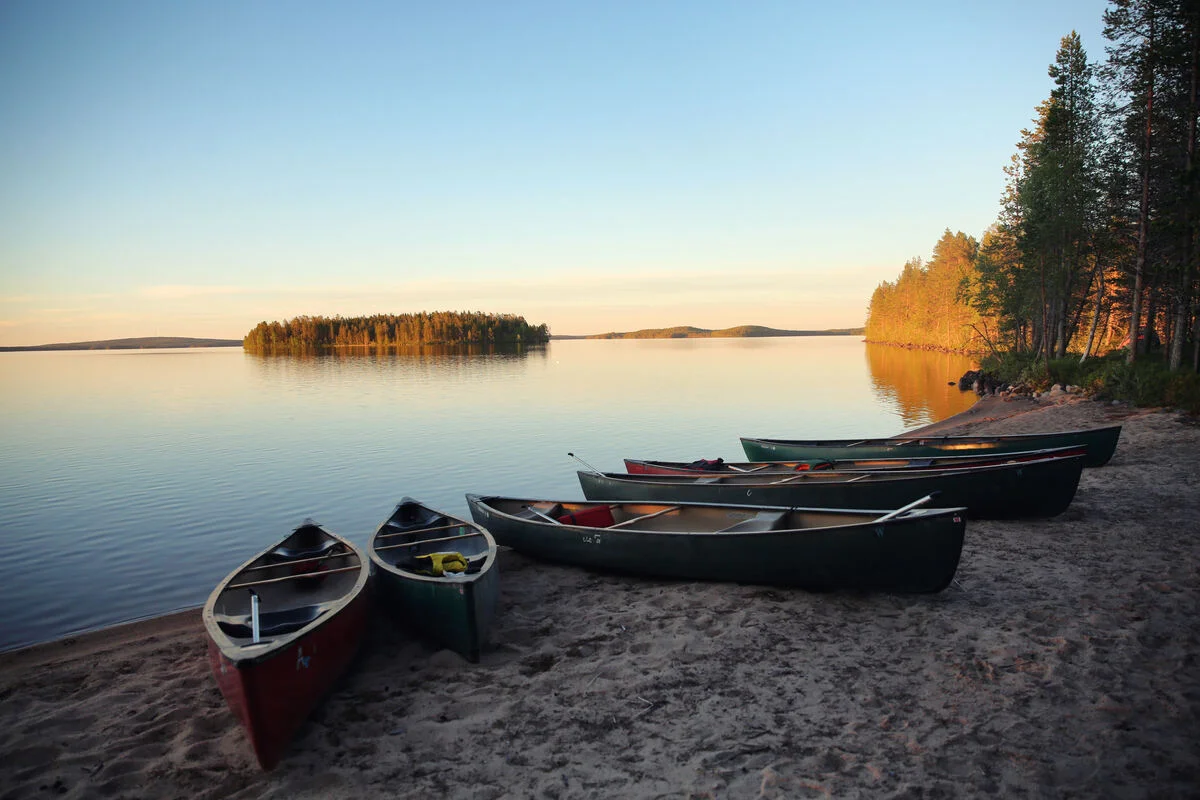 Five wooden canoes pulled up on a sand beach beside a mirror-still Lapland lake at midnight sun, distant pine-clad island, no people